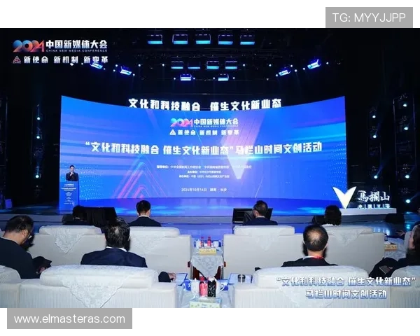 互联网娱乐网站在全球化背景下的市场拓展与文化融合